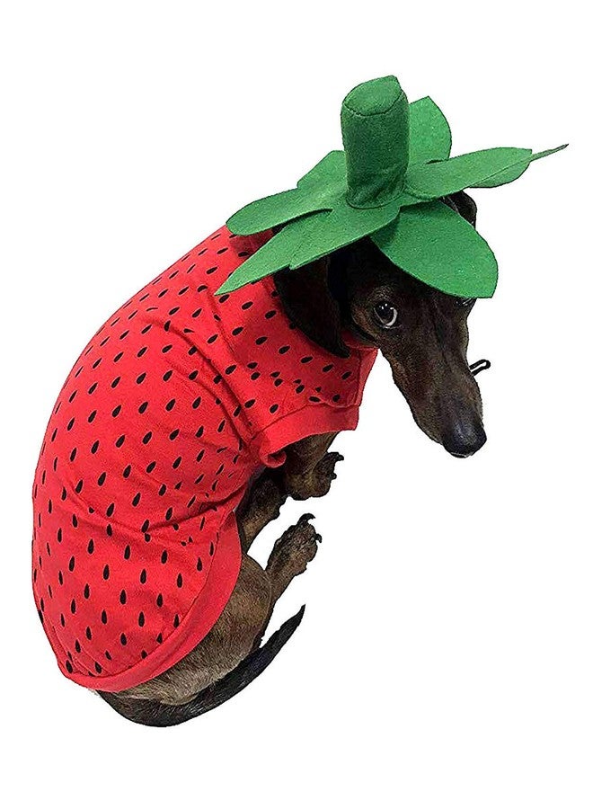 Midlee Strawberry Halloween Dog Costume (X-Large) - Image 1